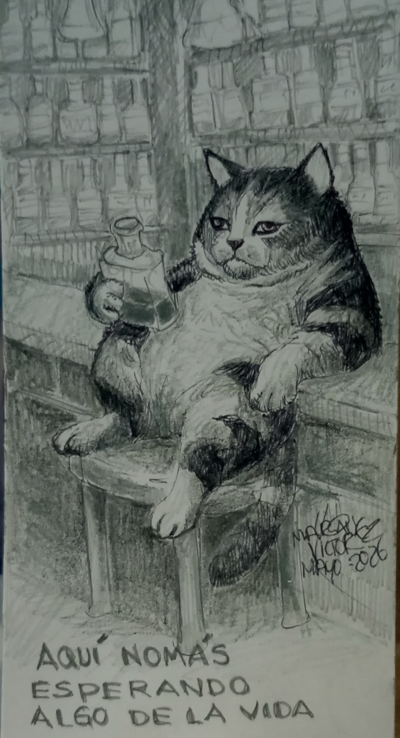 Gato reflexionando sobre la vida y experiencias pasadas.