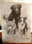 Tres Amigos