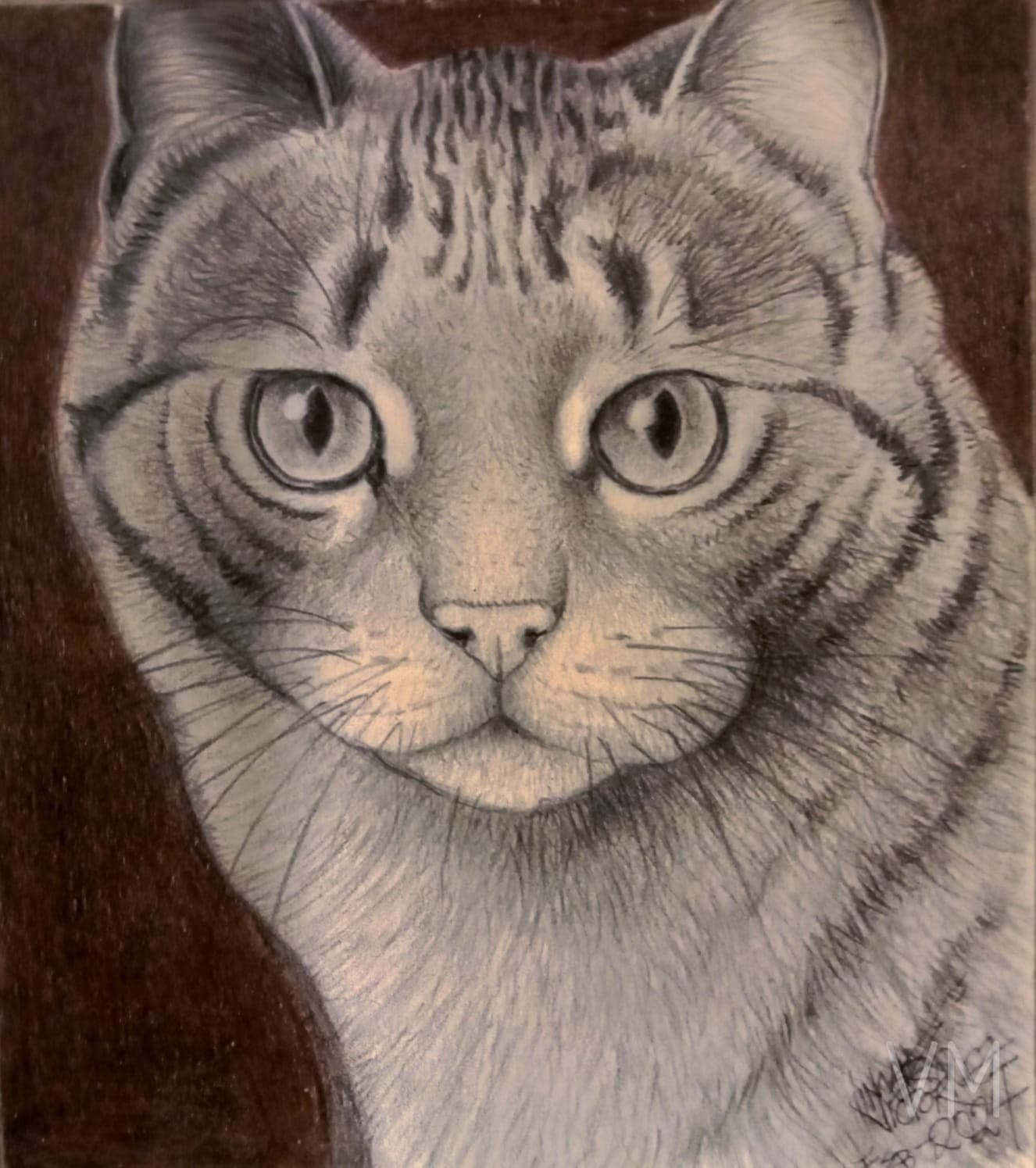 Primer plano del rostro de un gato atigrado con mirada hipnótica sobre fondo oscuro.