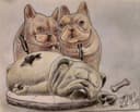 Bulldogs Tatuadores