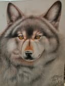 Lobo Salvaje