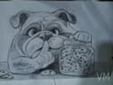 Bulldog Galletero