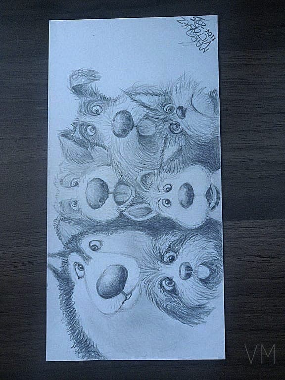 Grupo de perros y gatos tomándose una selfie, composición divertida y caótica