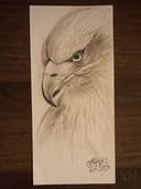 Águila Real