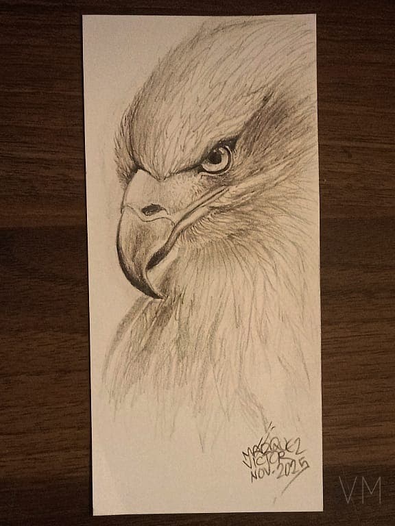 Retrato majestuoso de águila real, plumaje detallado con mirada feroz