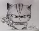 Gato Furioso