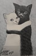 Abrazo Felino