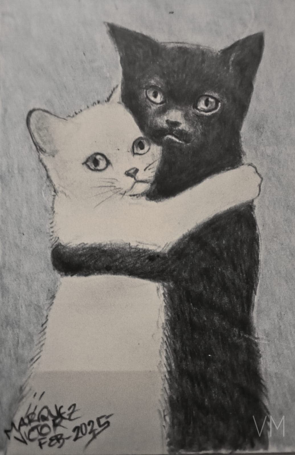 Gatito blanco y gatito negro abrazándose tiernamente. Símbolo de amistad y contraste.