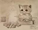 Gatito Fogata