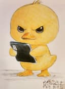 Patito Enojado