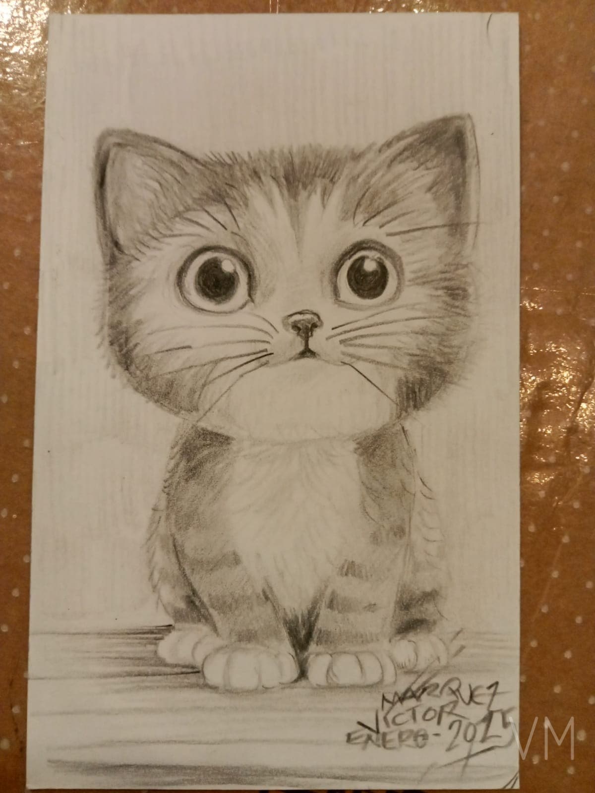 Gatito con mirada inocente y enormes ojos expresivos.