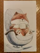 Gato Cafetero