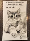 Gato Filósofo