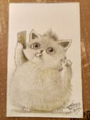 Gato Selfie