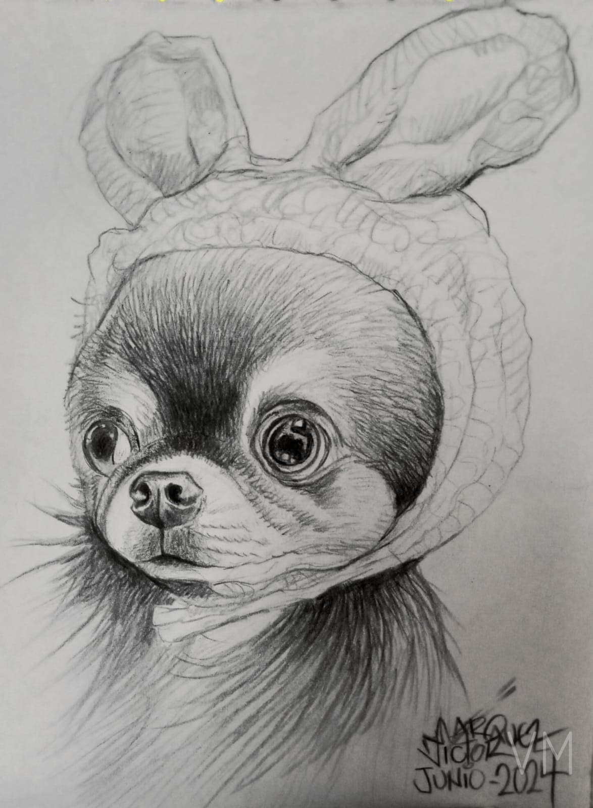 Chihuahua adorable con gorro de orejas de conejo, retrato a grafito.