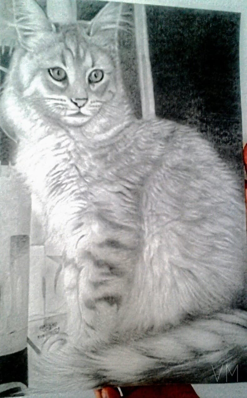 Retrato hiperrealista de un gato de pelaje largo con mirada penetrante.