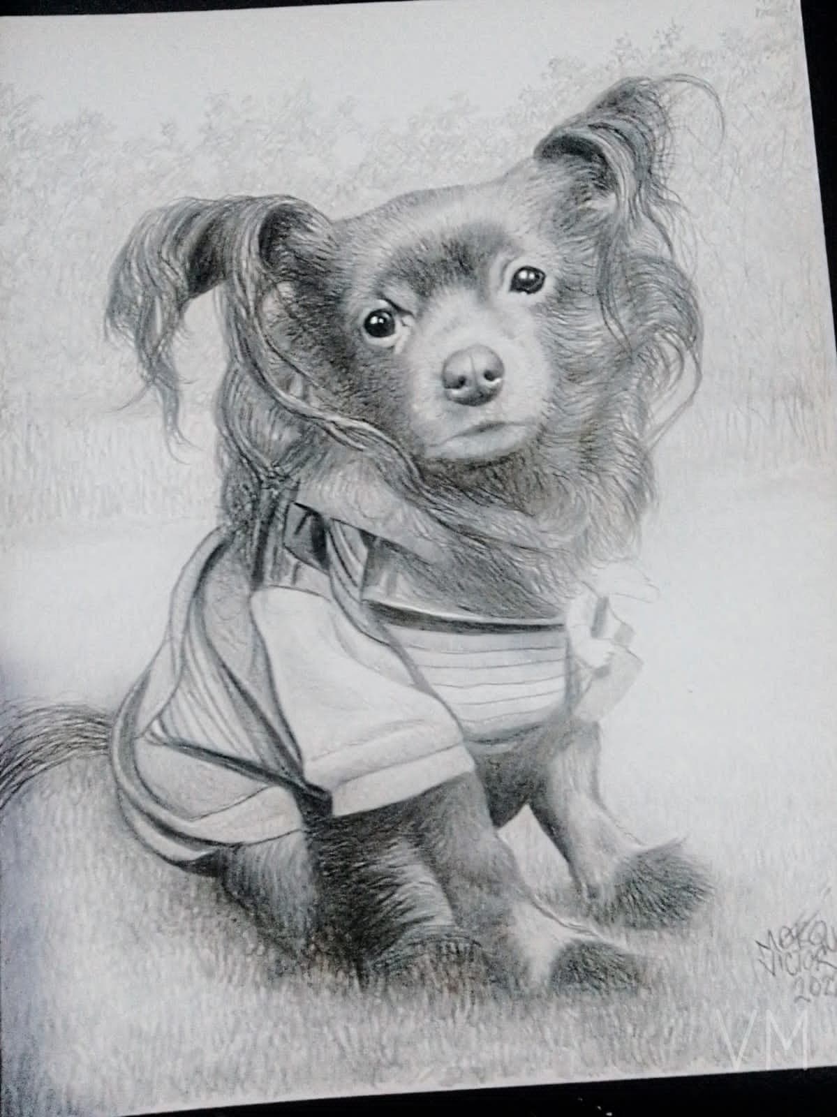 Retrato realista de un perrito pequeño con sudadera, mirada tierna e inocente.