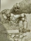 Guerrero Vikingo