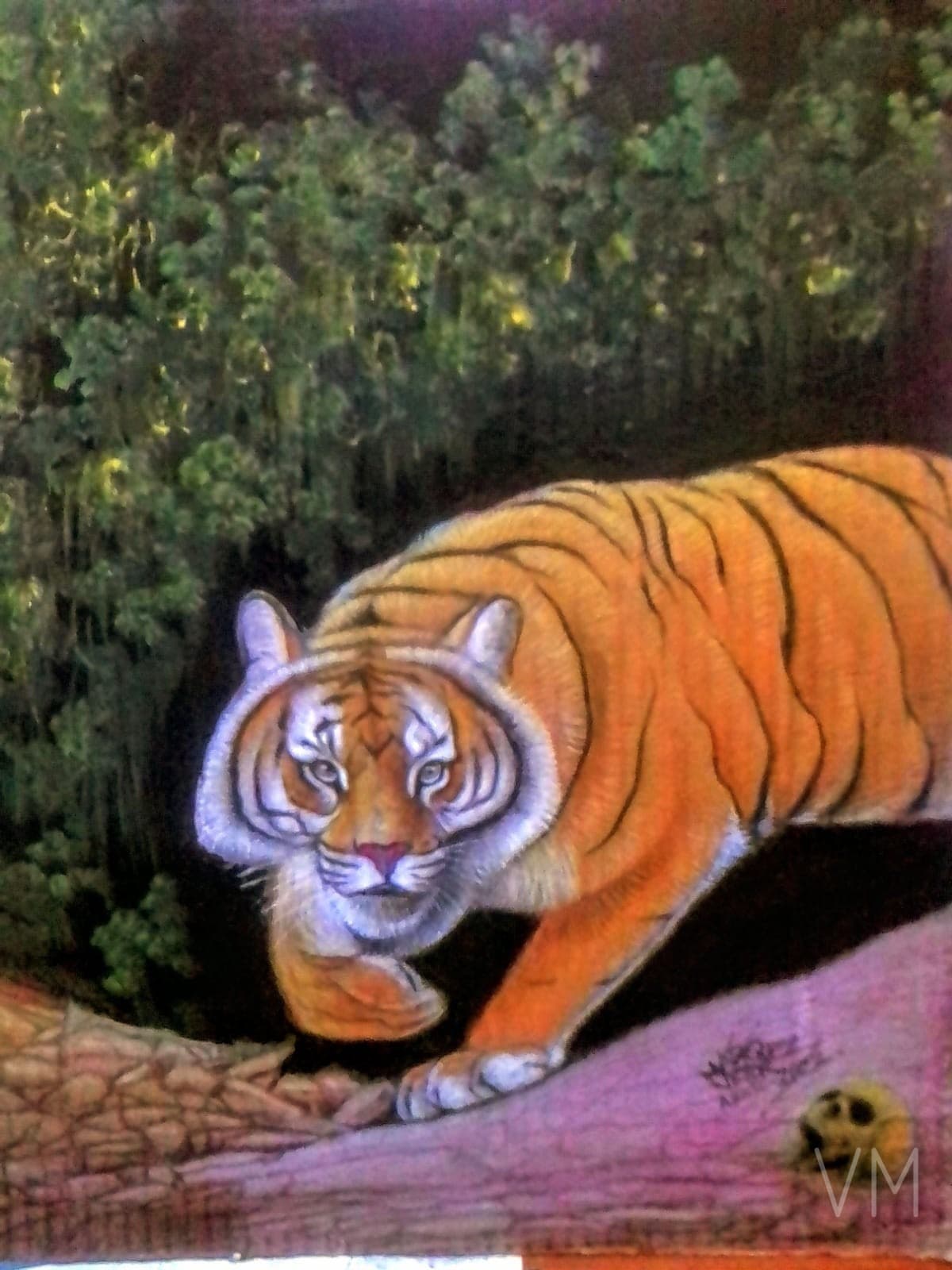 Tigre acechando a su presa entre la vegetación selvática, con una calavera al pie.