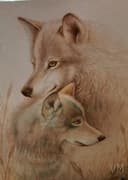 Lobos - Madre e Hijo
