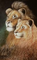 Rey y Reina de la Sabana