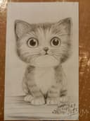 Gatito de Ojos Grandes